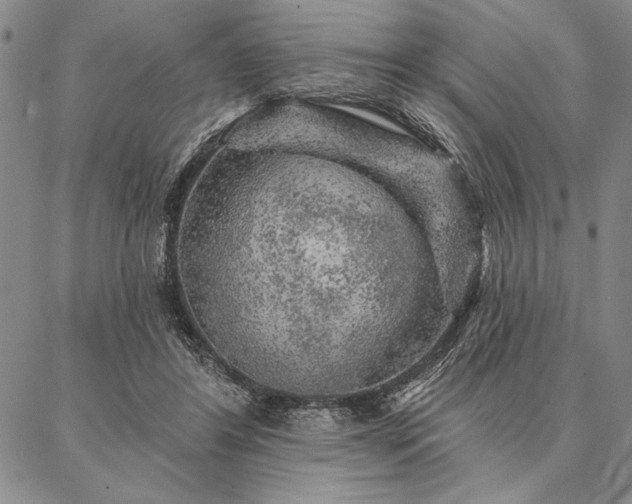 X0000087380404200704271602