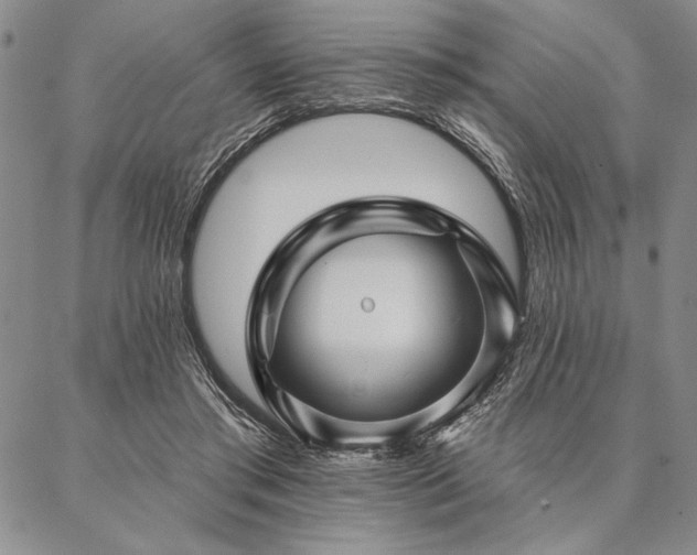 X0000087380405200704271602