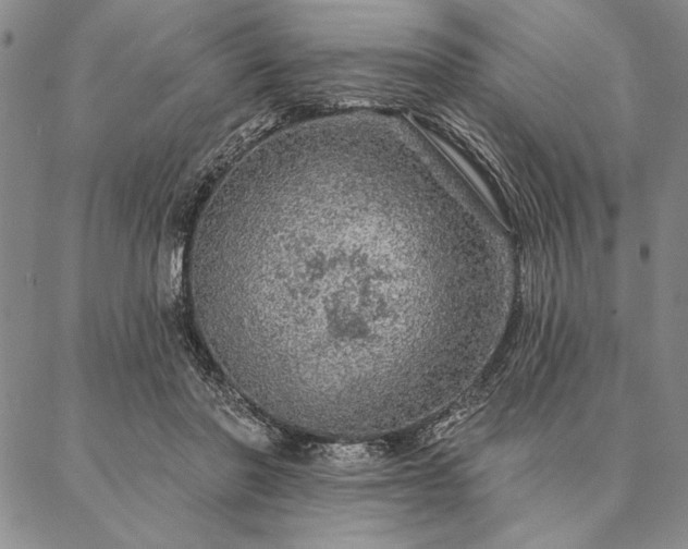 X0000087380406200704271602