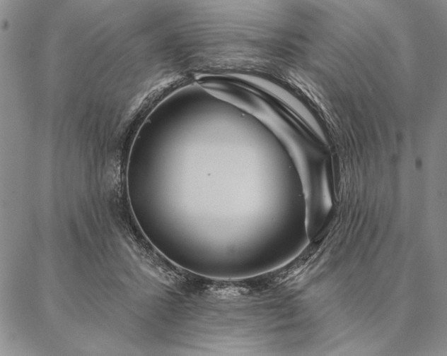 X0000087380407200704271602