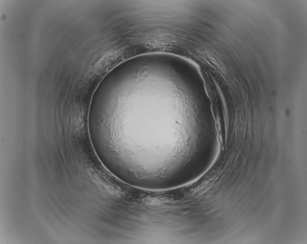 X0000087380408200704271602