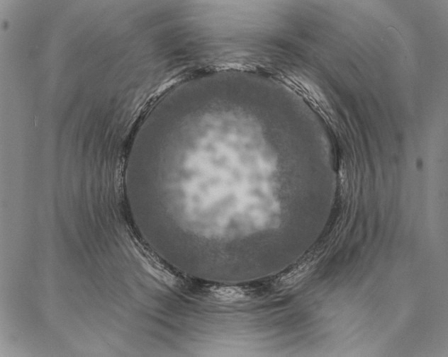 X0000087380409200704271602