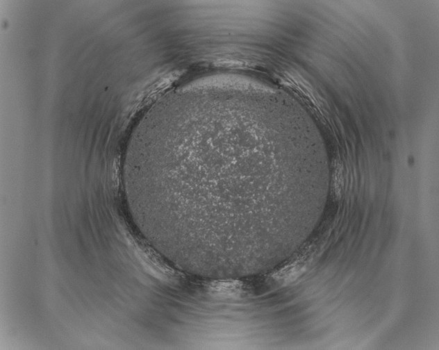 X0000087380410200704271602