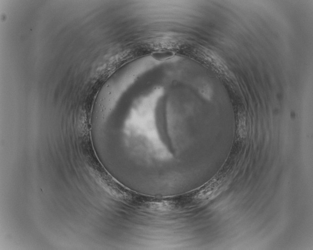 X0000087380411200704271602