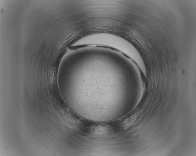 X0000087380412200704271602