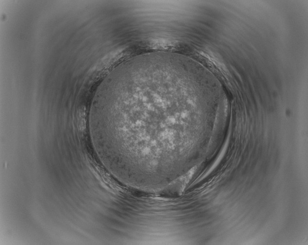 X0000087380413200704271602