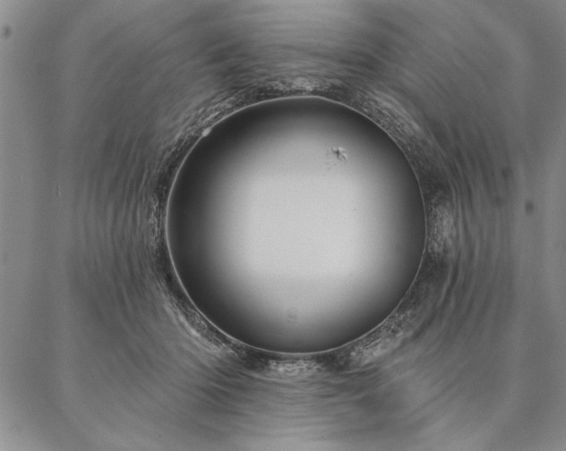 X0000087380414200704271602