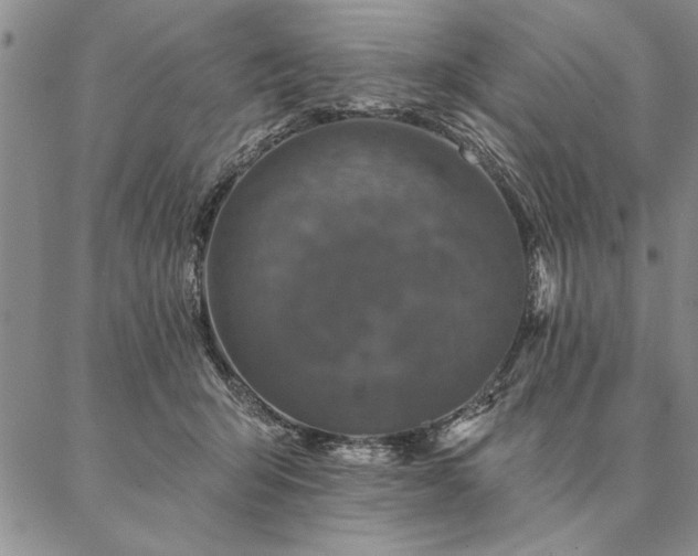 X0000087380415200704271602