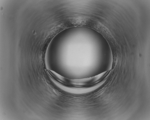 X0000087380416200704271602