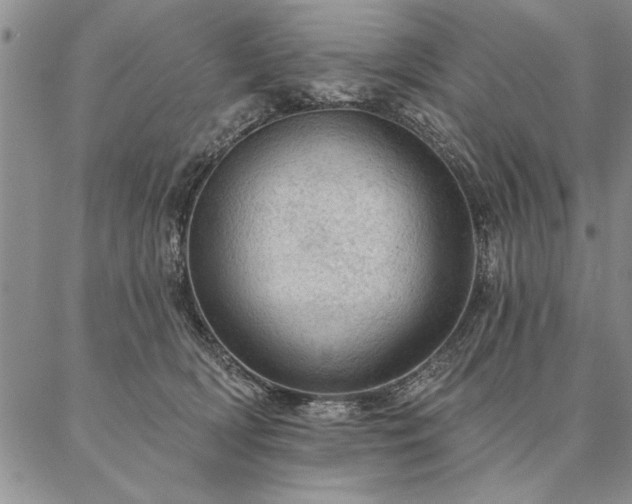 X0000087380418200704271602