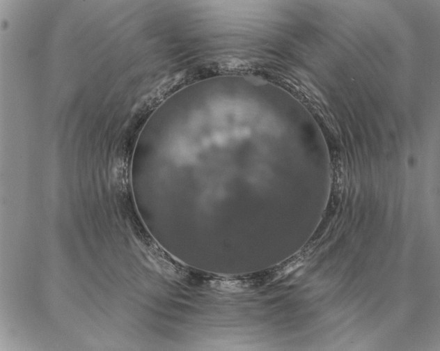 X0000087380419200704271602