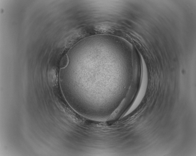 X0000087380420200704271602