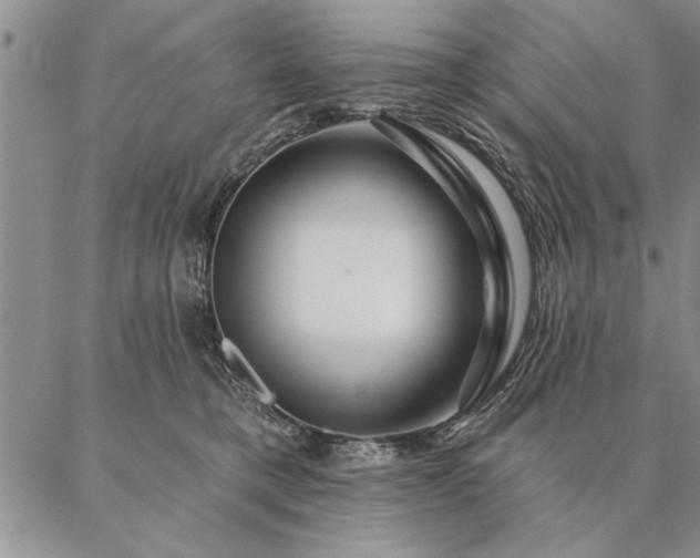 X0000087380421200704271602