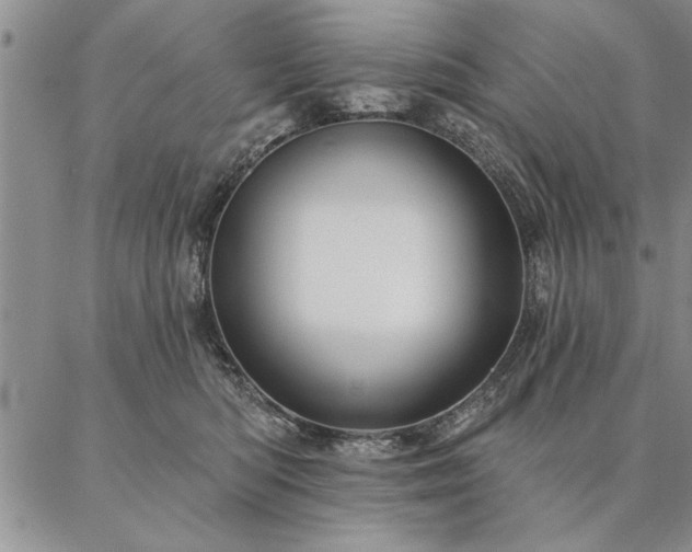 X0000087380422200704271602