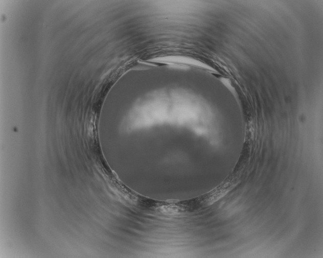 X0000087380423200704271602