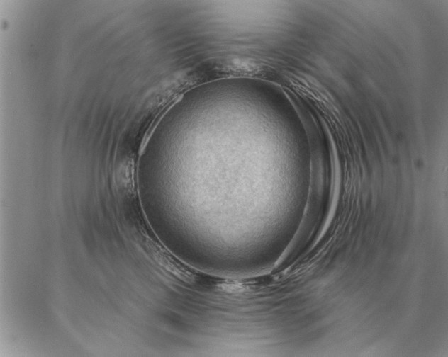 X0000087380425200704271602