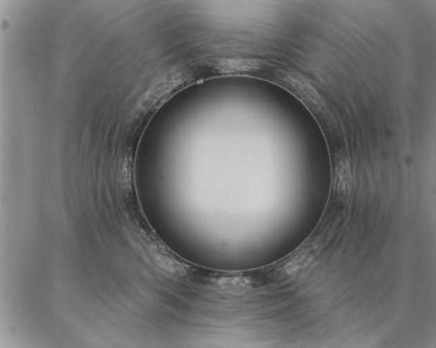 X0000087380426200704271602