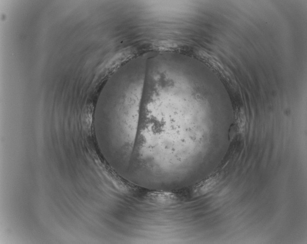 X0000087380427200704271602