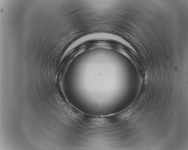 X0000087380428200704271602