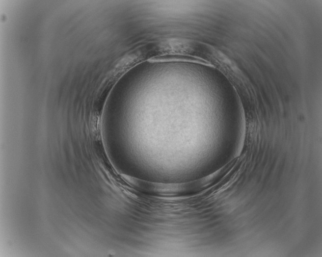 X0000087380429200704271602