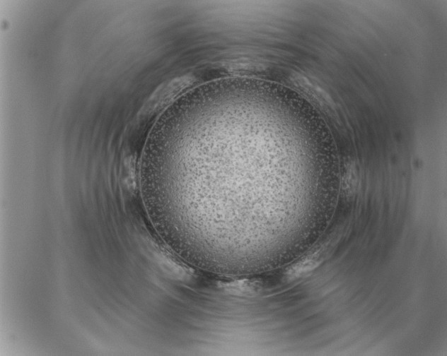 X0000087380430200704271602