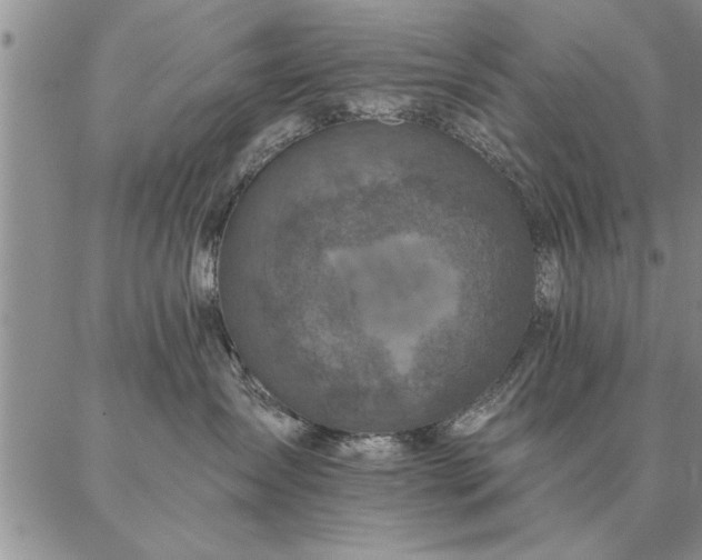 X0000087380431200704271602