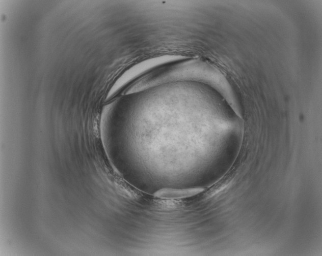 X0000087380432200704271602