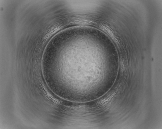 X0000087380433200704271601