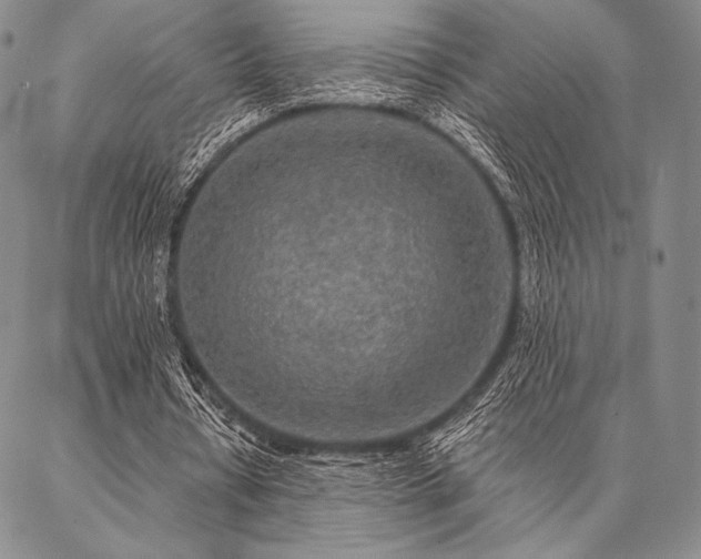 X0000087380434200704271601