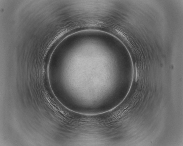 X0000087380435200704271601