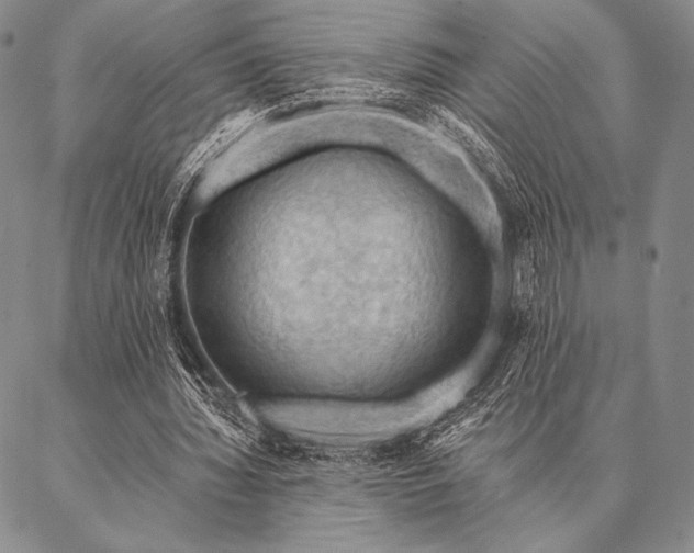 X0000087380436200704271601