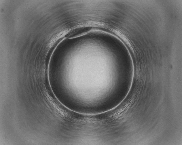 X0000087380437200704271601