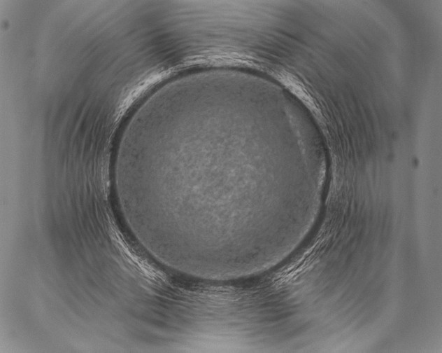 X0000087380438200704271601