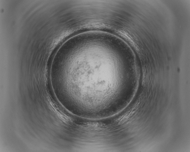 X0000087380439200704271601