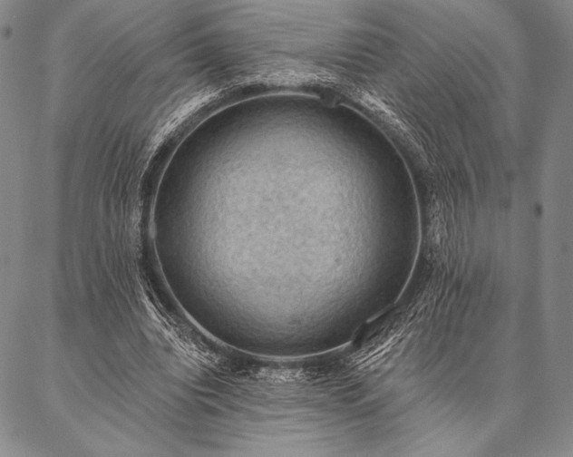 X0000087380440200704271601