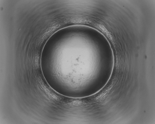 X0000087380441200704271601