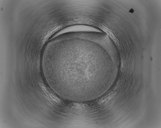 X0000087380442200704271601