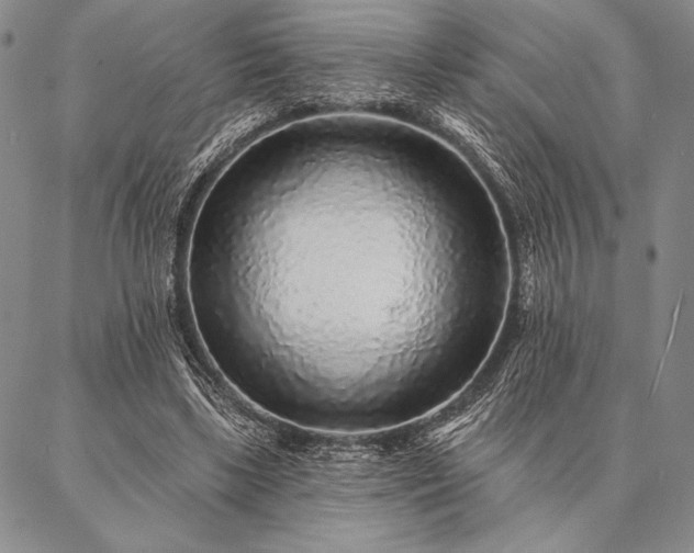 X0000087380443200704271601