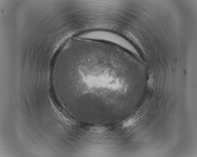 X0000087380444200704271601