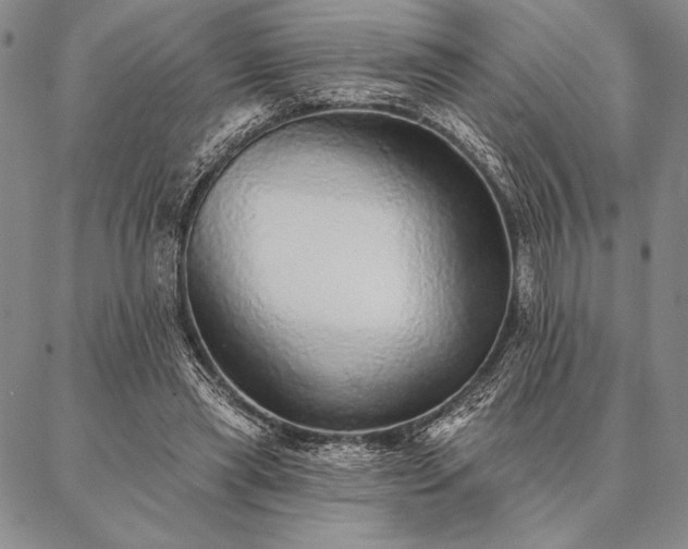 X0000087380445200704271601