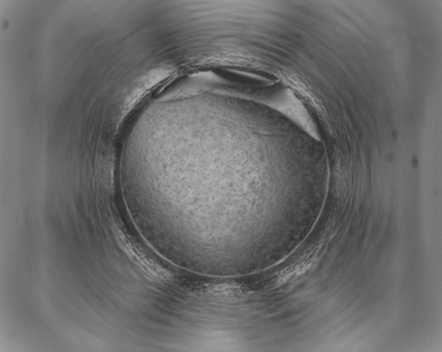 X0000087380446200704271601