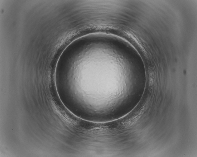 X0000087380447200704271601