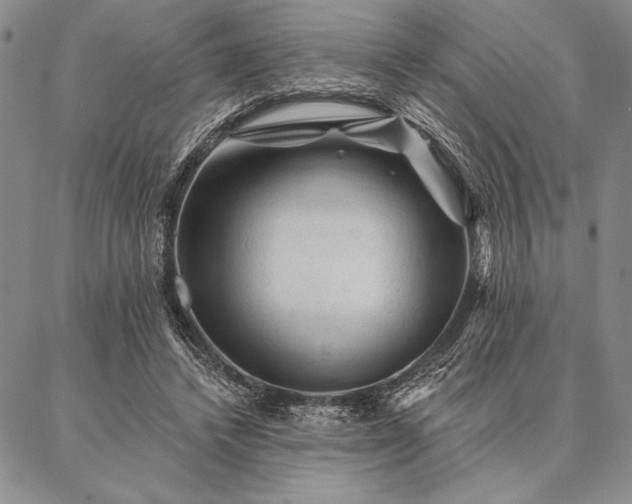 X0000087380448200704271601