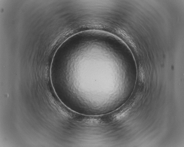 X0000087380449200704271601