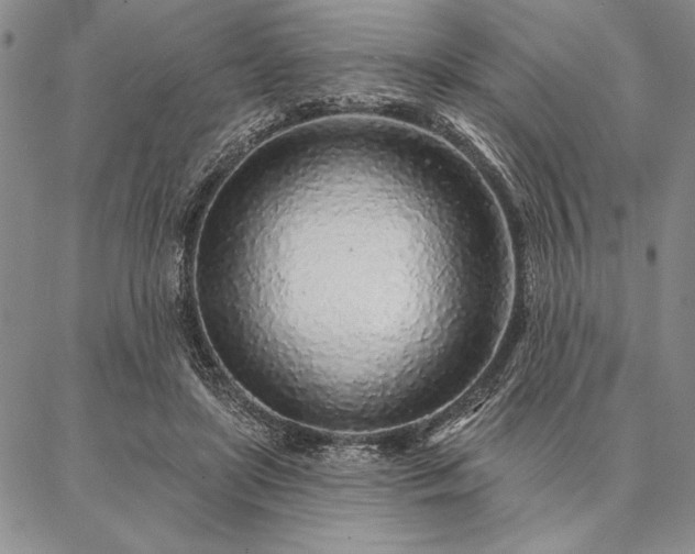 X0000087380451200704271601