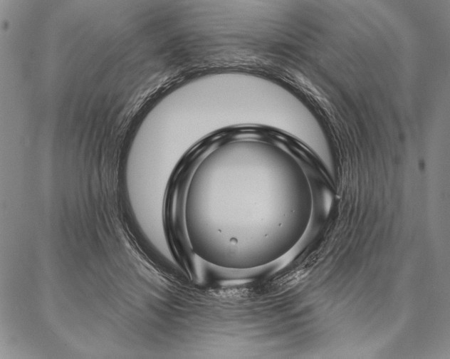 X0000087380452200704271601