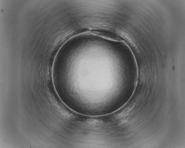 X0000087380453200704271601