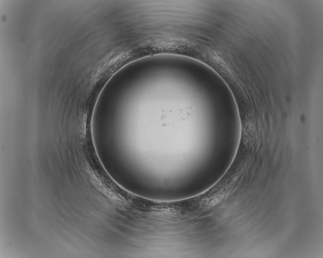 X0000087380454200704271601