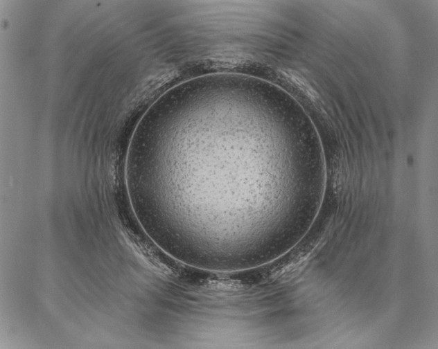 X0000087380455200704271601