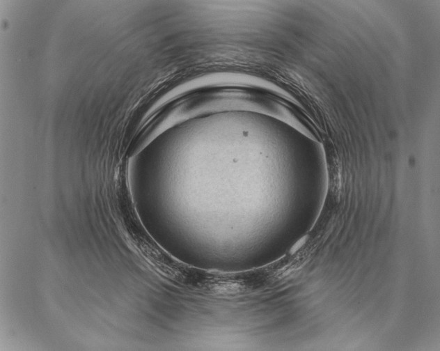 X0000087380456200704271601